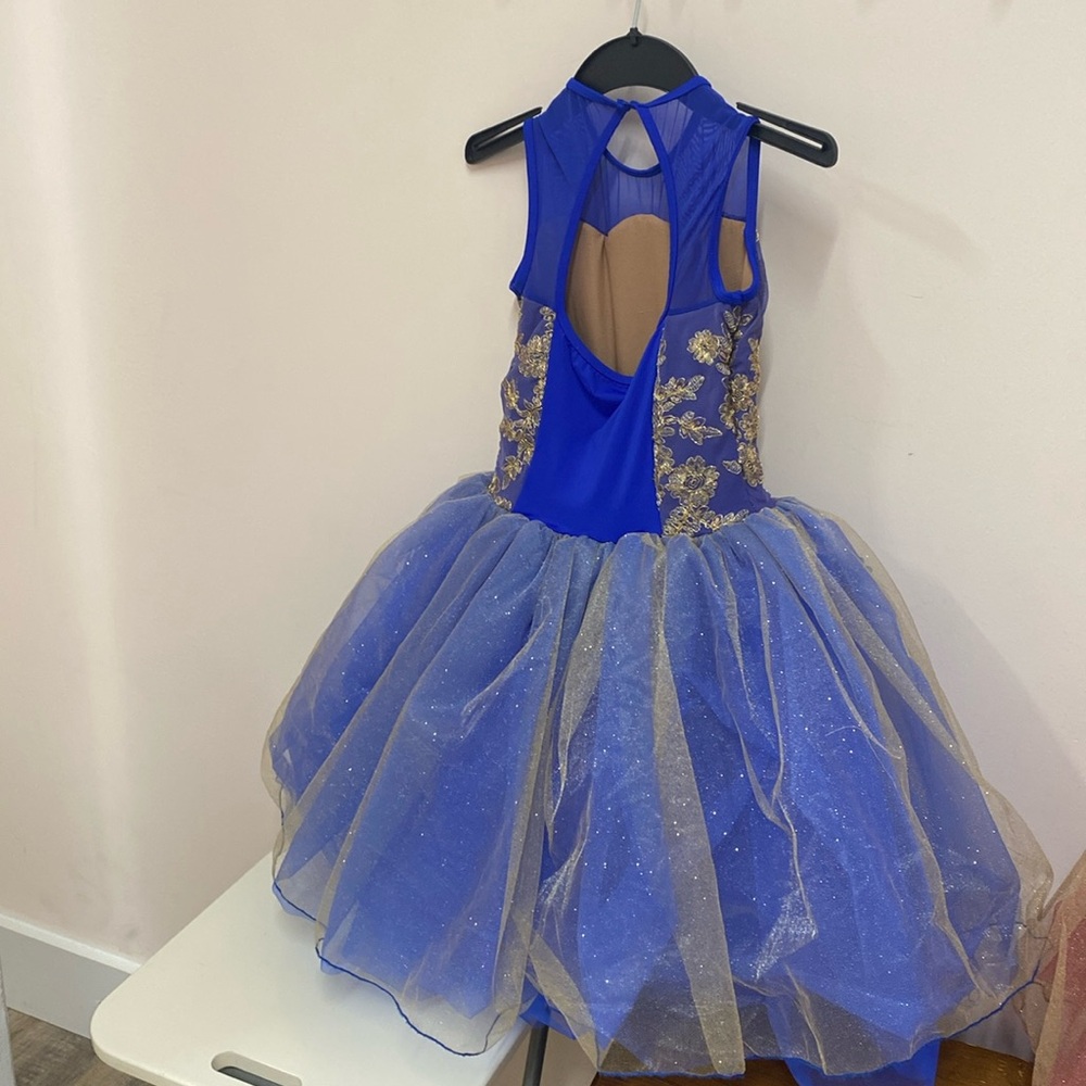 REVOLUTION DANCEWEAR  Ballet costume- Enchanted Suite Size: LC ;worn once - Picture 3 of 6